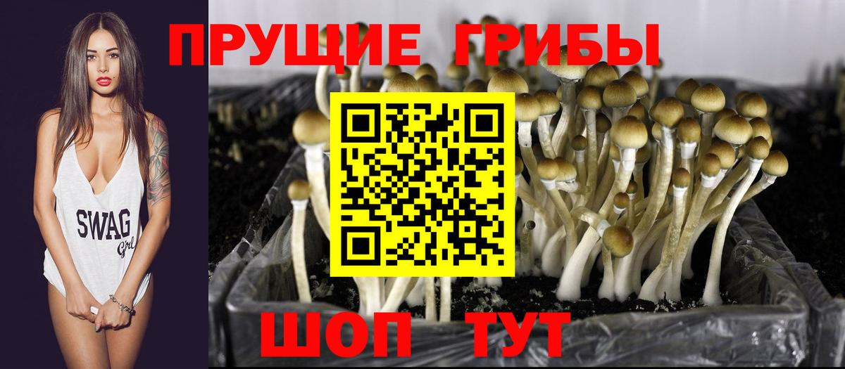 Трёхгорный  Псилоцибиновые грибы ЛСД  Галлюциногенные грибы Psilocybine cubensis  Вход с VPN 